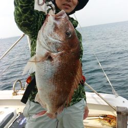 ズズキ・鯛・アコウ・ハマチ